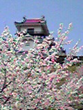 Image005.jpg